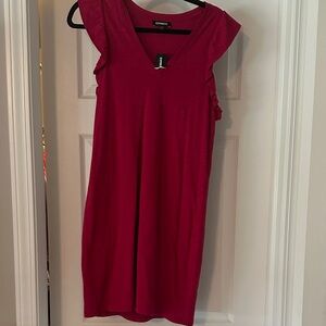 Express Red Mini Dress